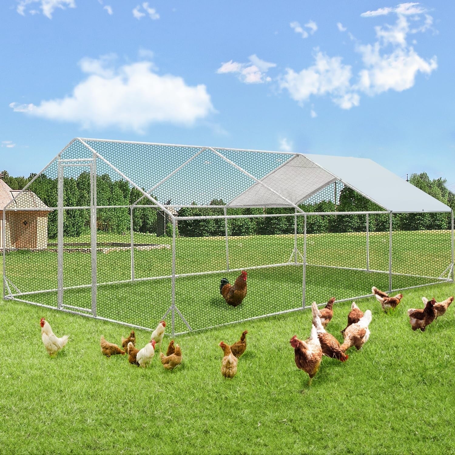 AECOJOY Grand poulailler en métal avec cage à poulets en métal