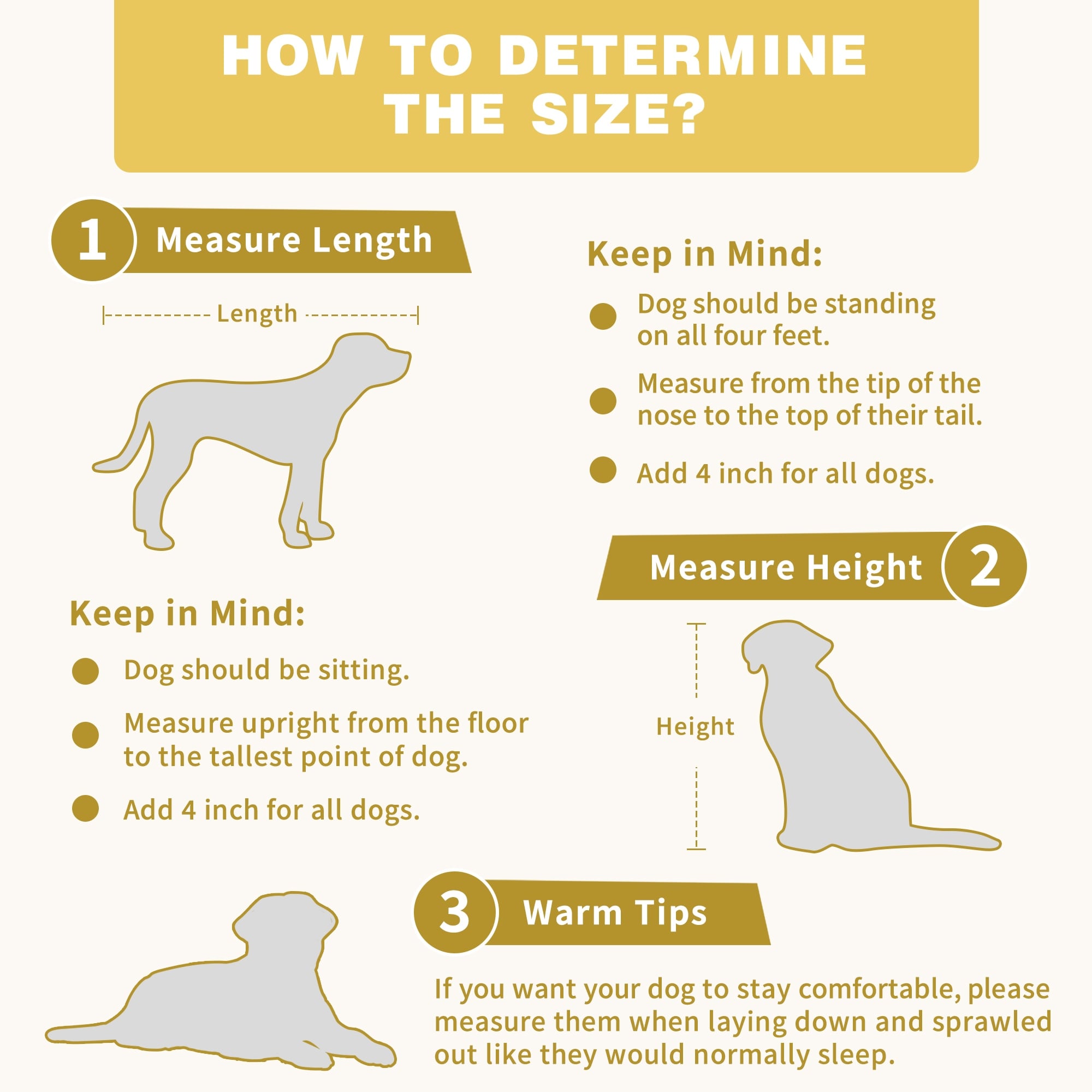 Cage pour chien élégante et robuste avec renfort en tube de fer
