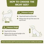 Cage double en bois pour chien avec 2 tiroirs et séparateur