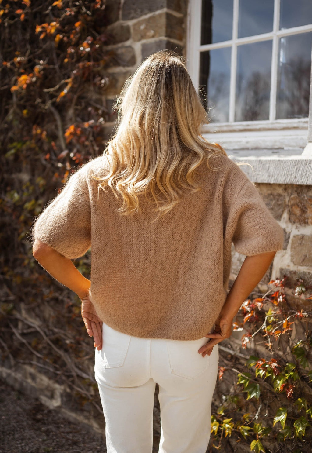 Pull Camel Sael